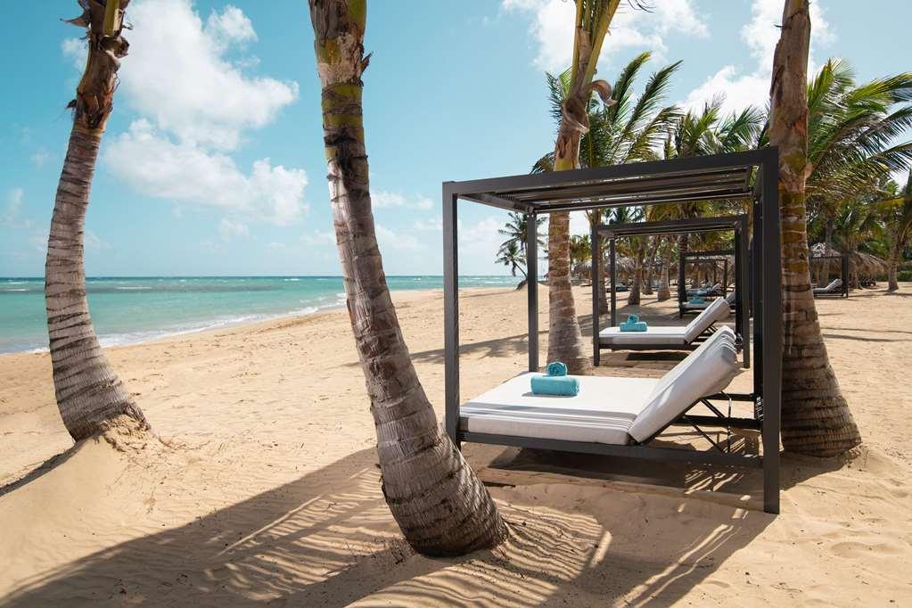 Live Aqua Beach Resort Punta Cana Natura zdjęcie